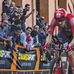 LA CLASSIFICAZIONE DEGLI AMINOACIDI