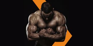 Proteine in polvere: quali scegliere e come integrarle nel tuo stile di vita consapevole